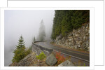 Mountain Road Through the Fog by Anonymous