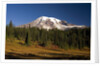 Fall Colors at Sunrise on Mount Rainier by Anonymous