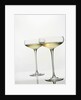 Two Glasses of Wine by Anonymous