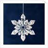 Christmas Ornament by Anonymous