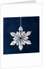 Christmas Ornament by Anonymous
