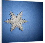 Decorative Snowflake by Anonymous