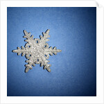 Decorative Snowflake by Anonymous