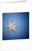 Decorative Snowflake by Anonymous