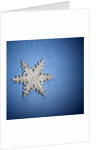Decorative Snowflake by Anonymous