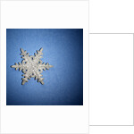 Decorative Snowflake by Anonymous