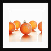 Christmas Ornaments by Anonymous