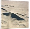 Sand Dunes by Anonymous