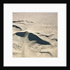 Sand Dunes by Anonymous