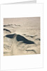 Sand Dunes by Anonymous