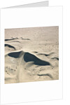Sand Dunes by Anonymous