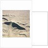 Sand Dunes by Anonymous