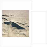 Sand Dunes by Anonymous