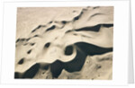 Sand Dunes by Anonymous
