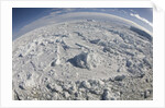 Ice in Weddell Sea by Anonymous