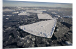 Pans of Ice in Weddell Sea by Anonymous