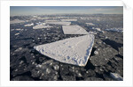 Pans of Ice in Weddell Sea by Anonymous