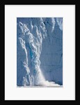 Icebergs Calving From Equip Sermia Glacier by Anonymous