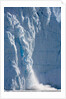 Icebergs Calving From Equip Sermia Glacier by Anonymous