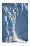 Icebergs Calving From Equip Sermia Glacier by Anonymous