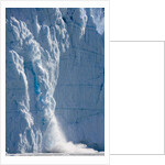 Icebergs Calving From Equip Sermia Glacier by Anonymous