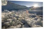 Icebergs in Disko Bay by Anonymous