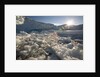 Icebergs in Disko Bay by Anonymous