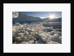 Icebergs in Disko Bay by Anonymous