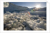 Icebergs in Disko Bay by Anonymous