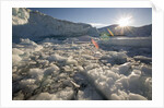 Icebergs in Disko Bay by Anonymous