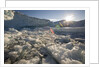 Icebergs in Disko Bay by Anonymous