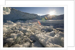 Icebergs in Disko Bay by Anonymous