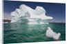 Icebergs in Greenland by Anonymous