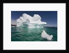 Icebergs in Greenland by Anonymous