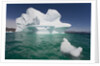 Icebergs in Greenland by Anonymous