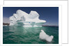 Icebergs in Greenland by Anonymous