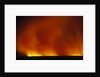 Grass Fire at Night by Anonymous