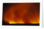 Grass Fire at Night by Anonymous