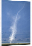 Whirlwind Rising from Savanna by Anonymous