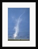 Whirlwind Rising from Savanna by Anonymous