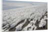 Melting Ice Field on Mount Kilimanjaro by Anonymous