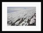 Melting Ice Field on Mount Kilimanjaro by Anonymous