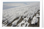 Melting Ice Field on Mount Kilimanjaro by Anonymous