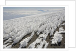 Melting Ice Field on Mount Kilimanjaro by Anonymous