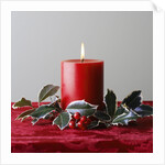 Christmas Decorations by Anonymous