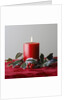 Christmas Decorations by Anonymous