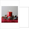 Christmas Decorations by Anonymous