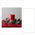 Christmas Decorations by Anonymous