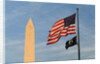 Washington Monument and American Flag by Anonymous