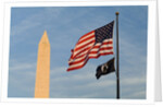 Washington Monument and American Flag by Anonymous